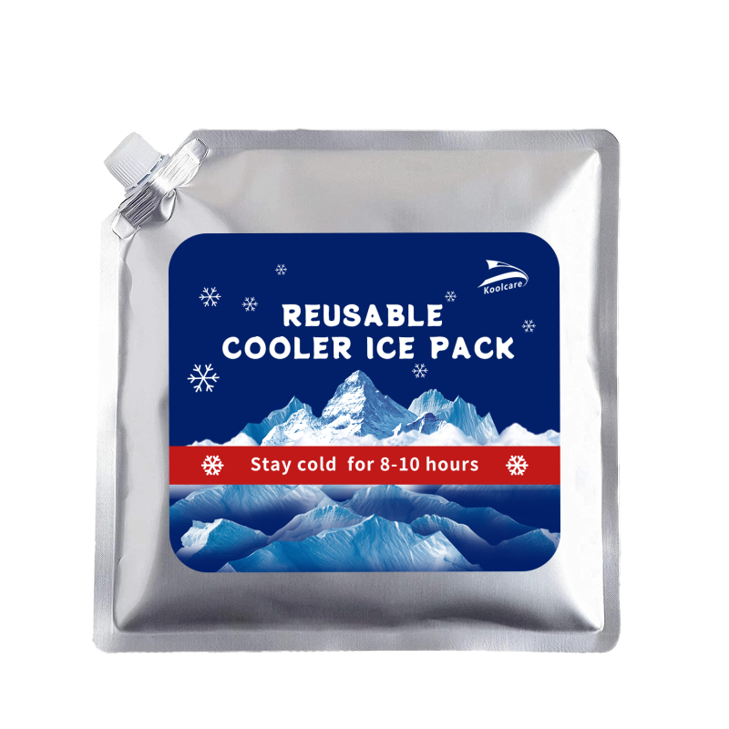 Ice Packs Supplier - Reusable Coolers Lunch Boxes Camping