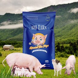 Feed Grade Amino Acids Probiotics for Pig Swine Piglet Hog Animal Feed Additives That Boost Weight Gain in Powder Appearance