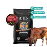 Animal Health Feed Additives for Cattle  Sheep Horses Weight Gain Fast Growth Premix Promoting Growth Fattening  Probiotics