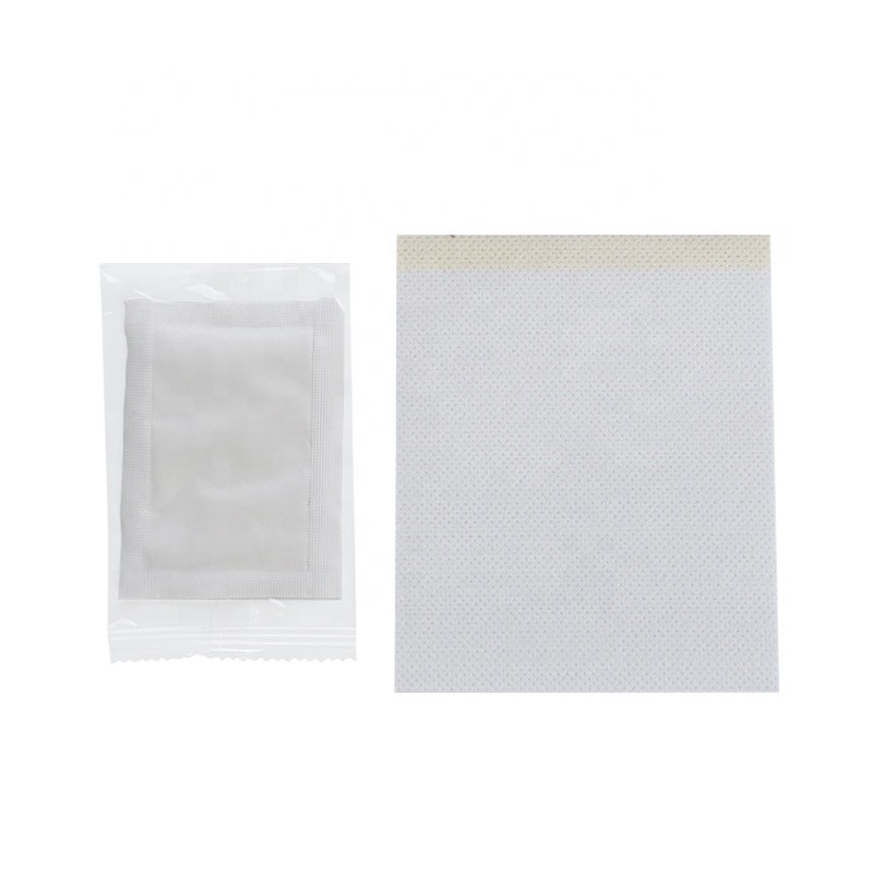 Detox Foot Patches Manufacturer - Haobloc Ginger Extract Secondair Effect