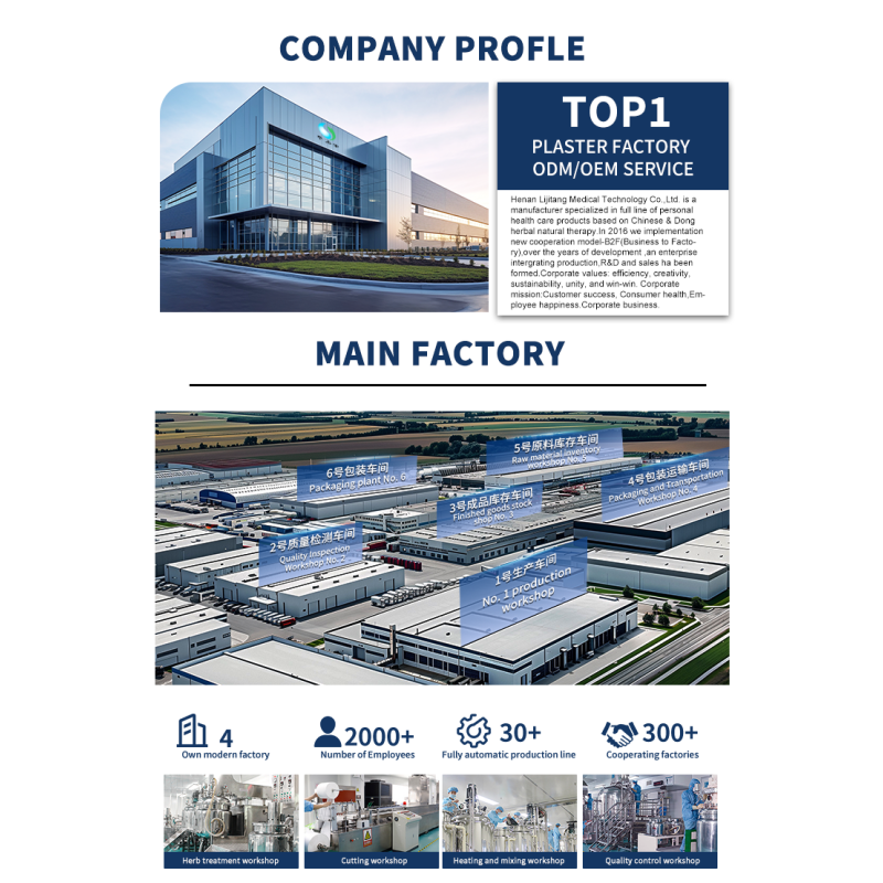 Slim Patch Supplier - OEM Magnetic Detox Fat Burning