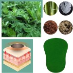 wormwood pain relief patch