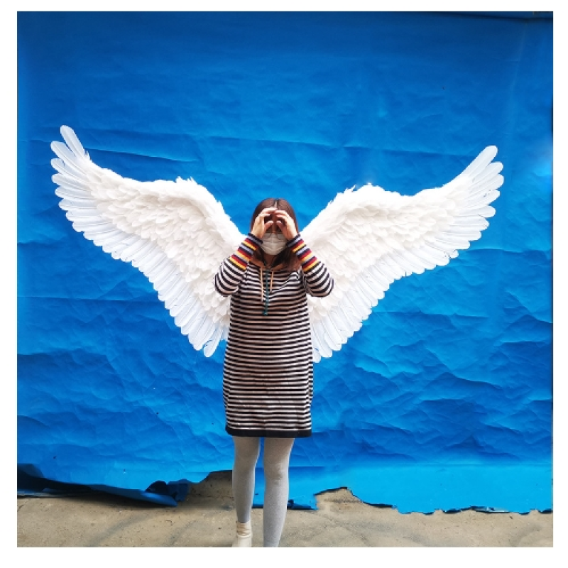 Fairy Wings Factory - OEM Custom Large Feather Party Dance