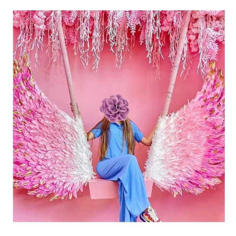 Fairy Wings Manufacturer - OEM Custom Butterfly Girl Costume