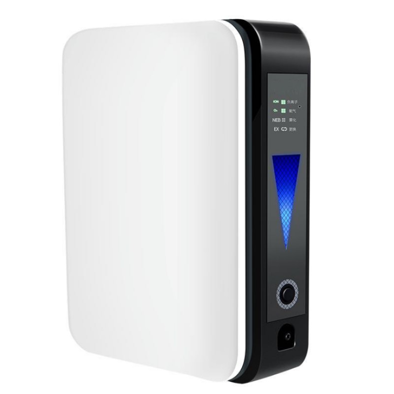 Oxygen Generator Manufacturer - OEM 1L Medical Hospital Car