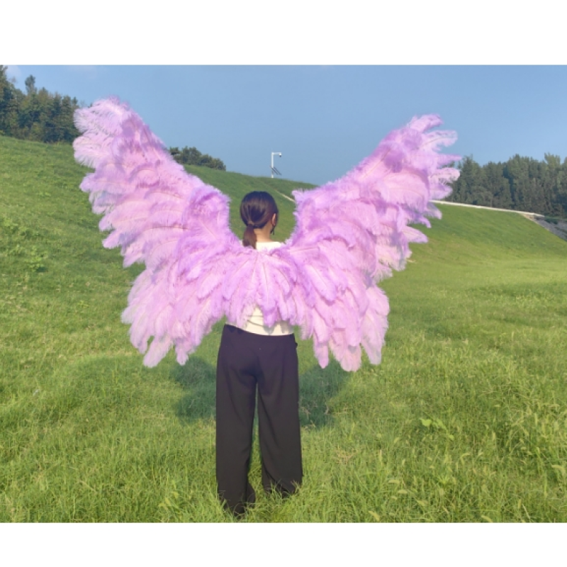 Angel Wings Manufacturer - OEM Small Children Ostrich Feather