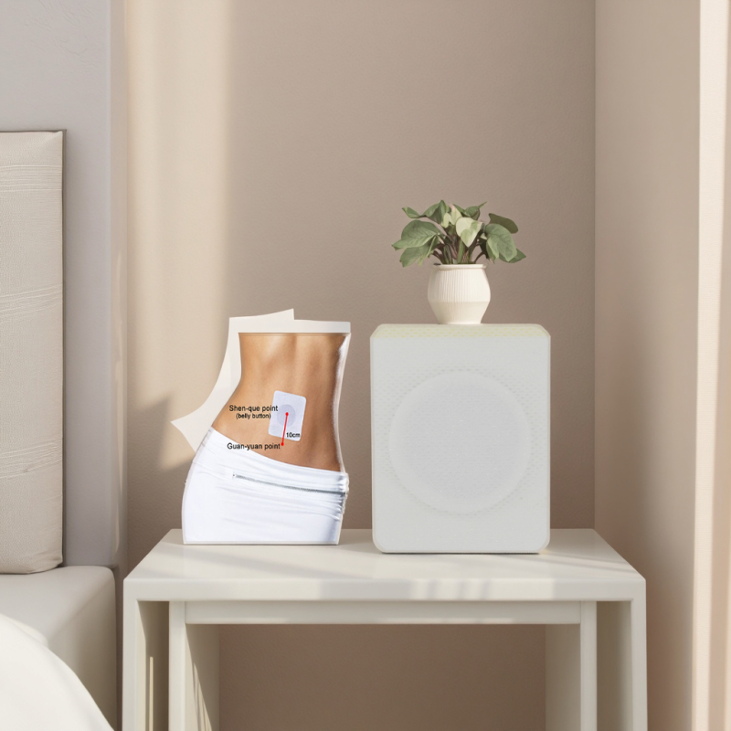 Slim Patch Supplier - OEM Portable Antiallergic Beauty Care