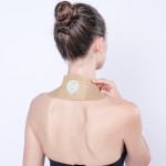 Moxibustion Patch