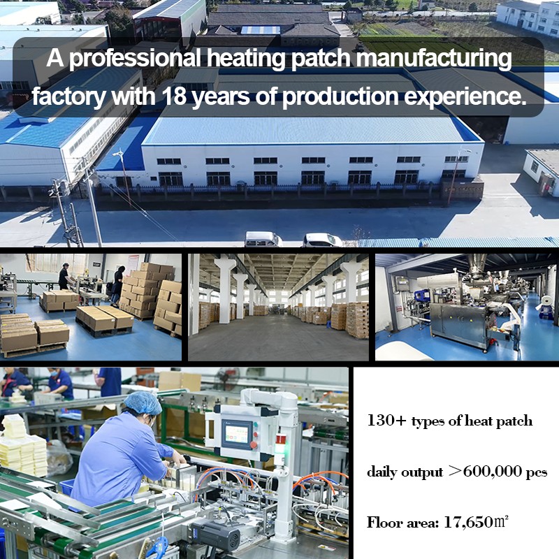 Ice Pack Supplier - Wholesale Self Absorbent Frozen Preservation Double