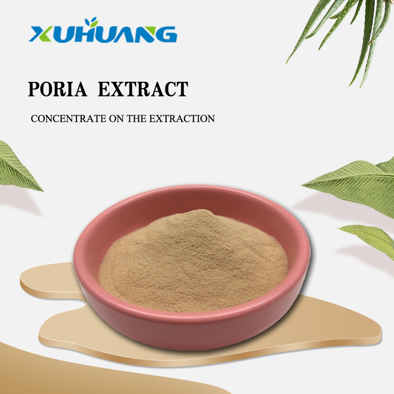 High Quality Poria Extract