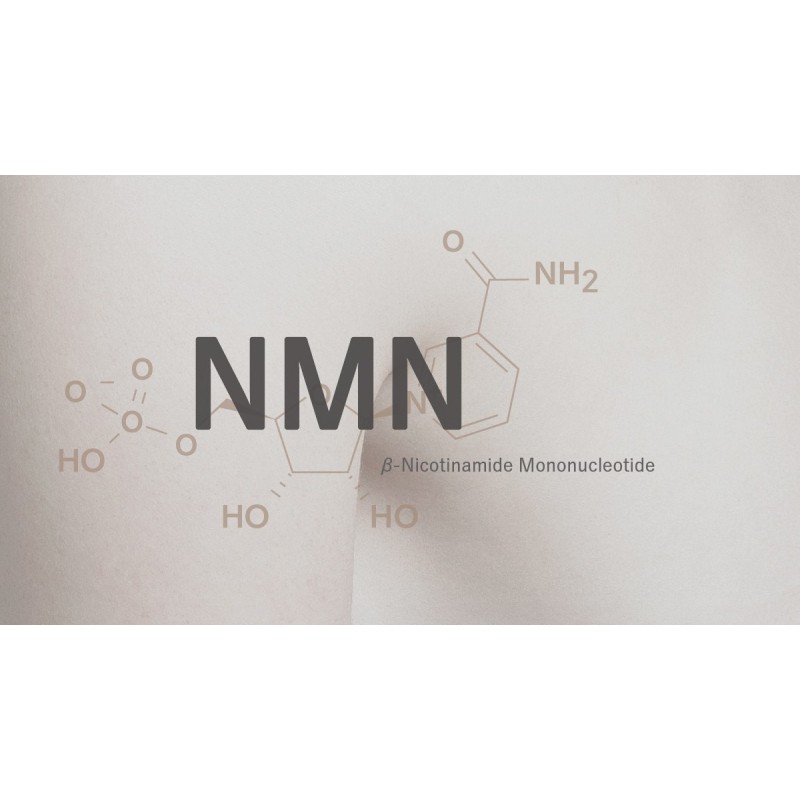 Hot Sale Bulk High Quality NMN Supplement NMN Capsule Powder