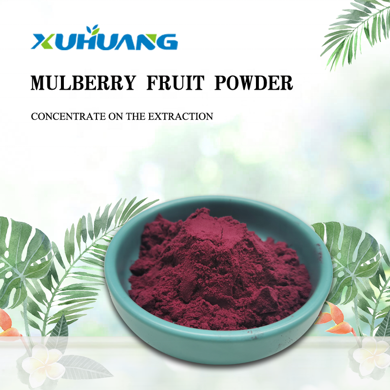 Best Selling Fresh Mulberry Fruit Juice Powder