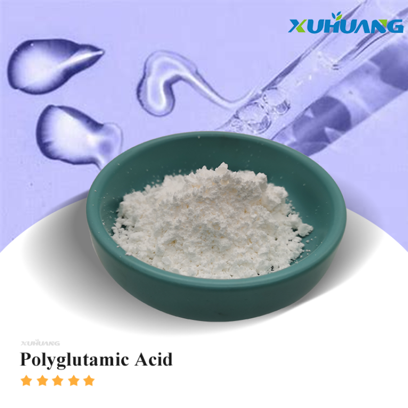 High Quality CAS 25513-46-6  Y Polyglutamic Acid Powder Polyglutamic Acid