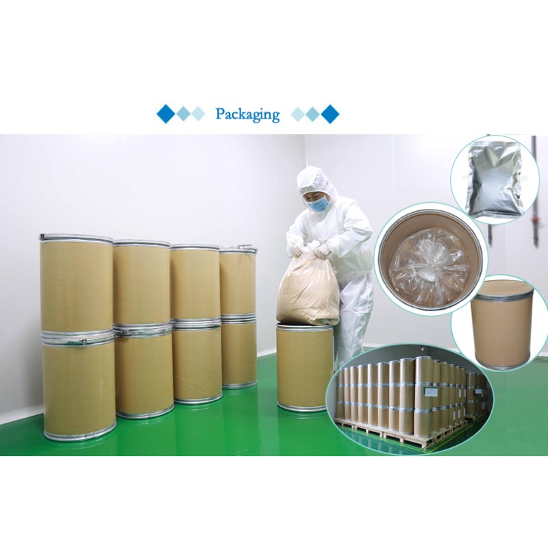 Hot Sale Pumpkin Seed Protein Powder