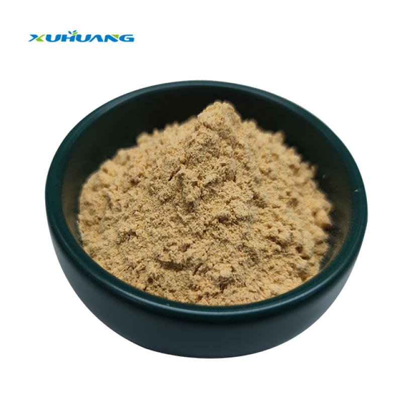 Manufacturer Supply Good Price White Willow Bark Extract Brown Yellow Powder White Willow Bark Extract Powder
