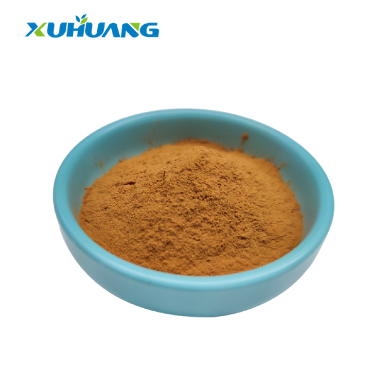 Food Grade High Quality Red Jujube Extract Powder Natural Fruit Part Used Solvent Extracted Packaged in Drum Plastic Container