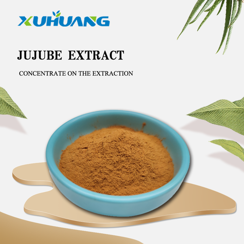 Food Grade High Quality Red Jujube Extract Powder Natural Fruit Part Used Solvent Extracted Packaged in Drum Plastic Container