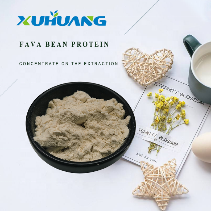 Best Price Fava Bean Protein