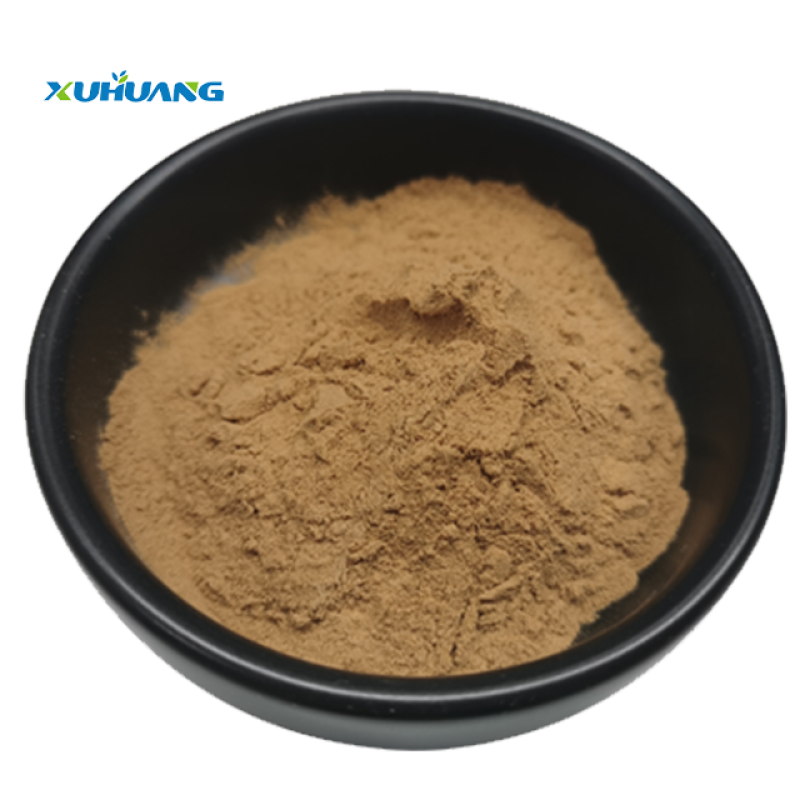 Natural Dried Ginkgo Biloba Leaves Extract Powder  10:1  Sleep Supplement Herb Ginkgo Biloba Extract with Best Price