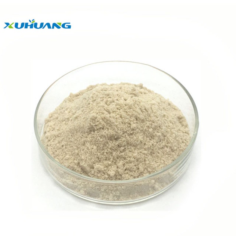 Factory Supply Quinoa Protein Powder  Quinoa Powder