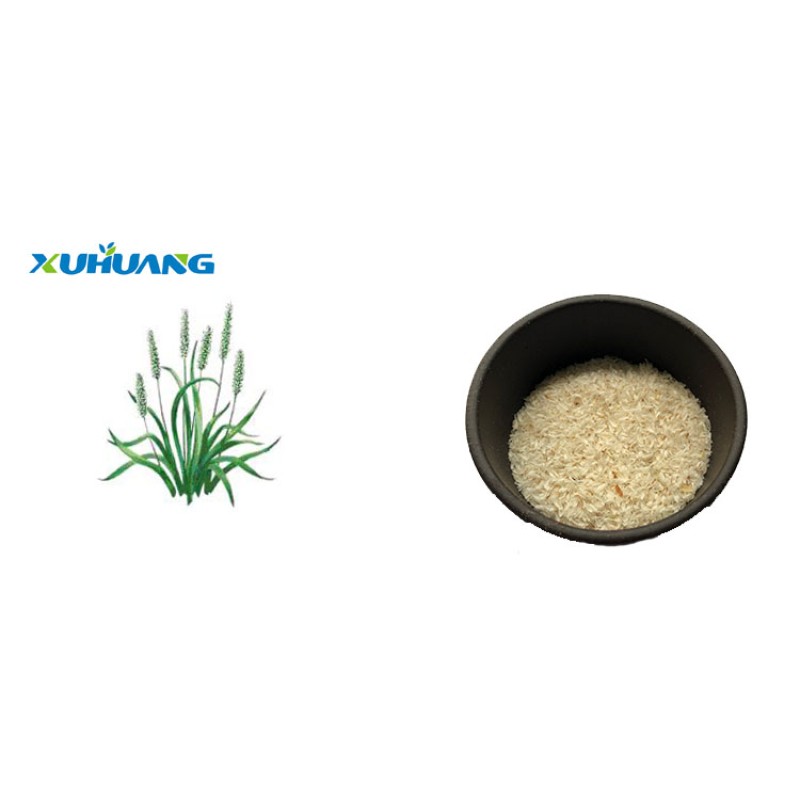 Wholesale bulk high quality Psyllium husk 98%/Psyllium seed husk