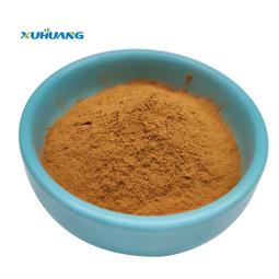 Food Grade High Quality Red Jujube Extract Powder Natural Fruit Part Used Solvent Extracted Packaged in Drum Plastic Container