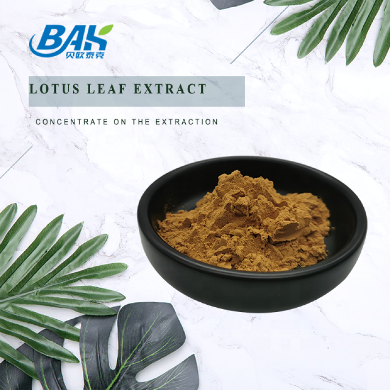 High Quality Nuciferine Lotus Leaf Extract Lotus Leaf Extract