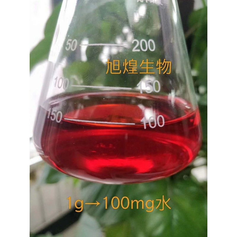 Best Selling Beet Root Powder Red Beet Juice Powder