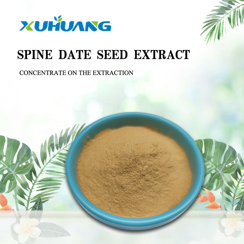 High Quality Spine Date Seed Extract