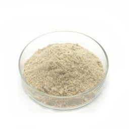 Factory Supply Quinoa Protein Powder  Quinoa Powder