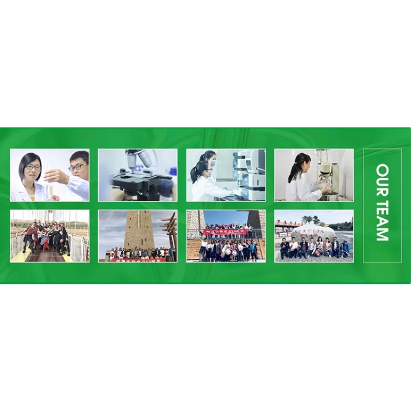 Healthy Organic Food Peanut Protein Extract Powder