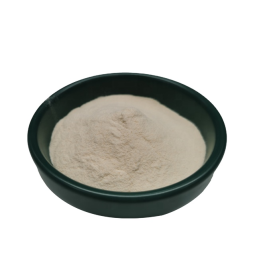 Best Price of Dried Sea Cucumber Protein Powder/ Sea Cucumber Peptide /sea Cucumber Polypeptide