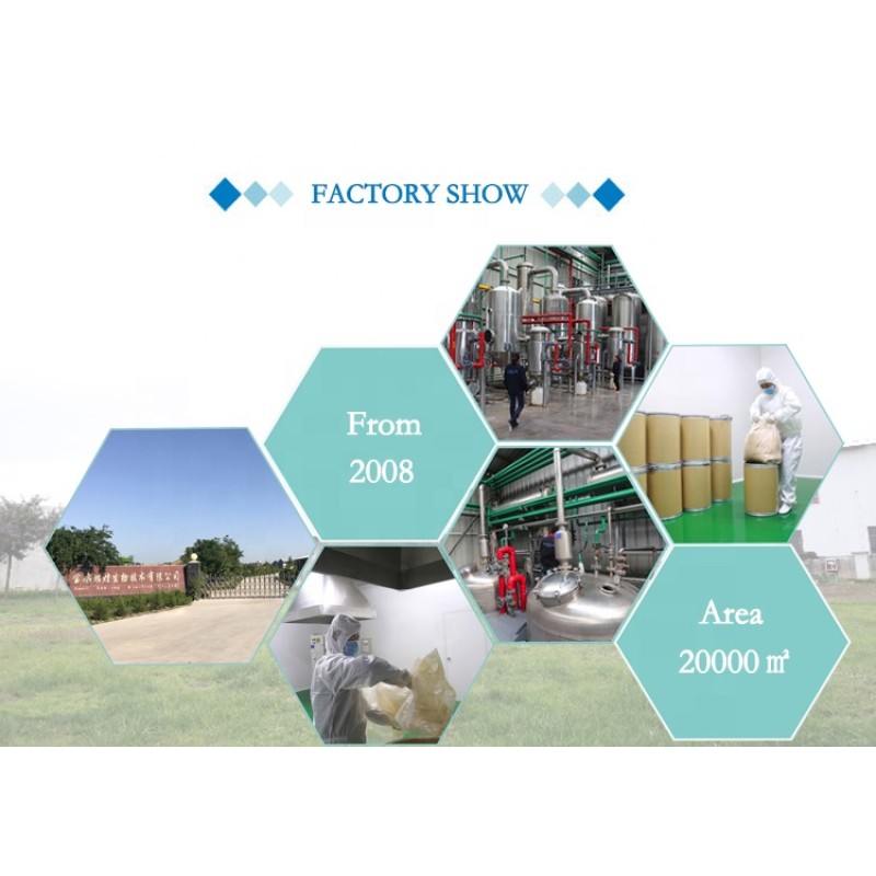 Hot Sale Pumpkin Seed Protein Powder