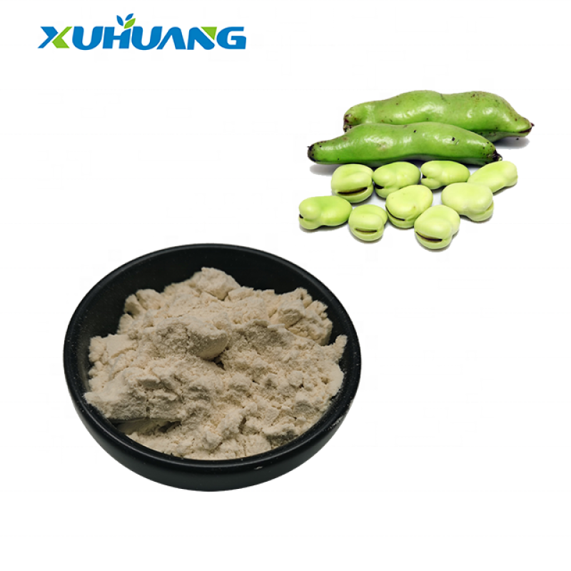 Best Price Fava Bean Protein