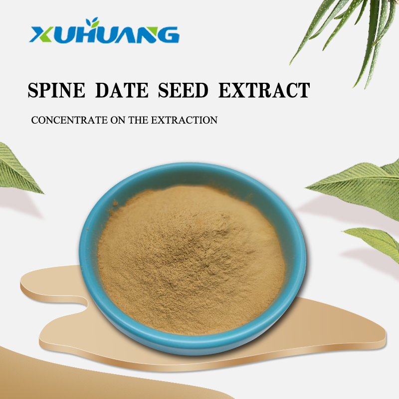 High Quality Spine Date Seed Extract