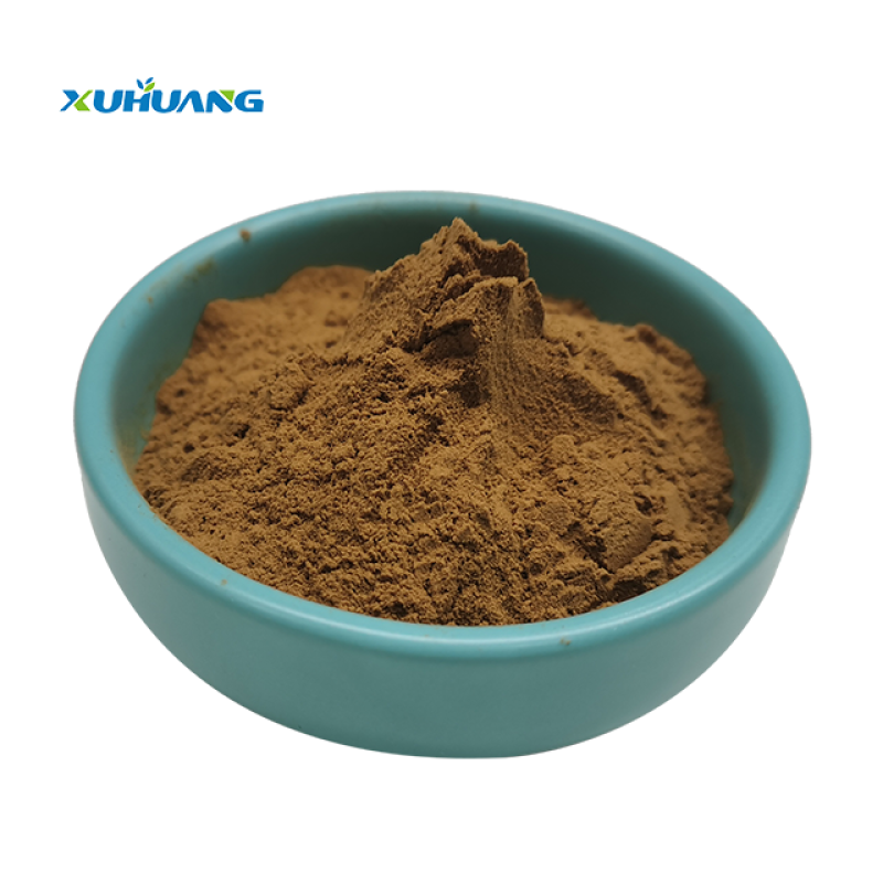 Natural Dried Ginkgo Biloba Leaves Extract Powder  10:1  Sleep Supplement Herb Ginkgo Biloba Extract with Best Price