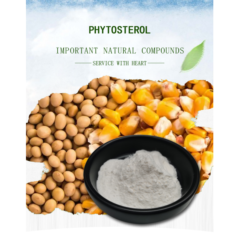 Manufacturer food grade dietary supplement soybean extract 95% phytosterol powder