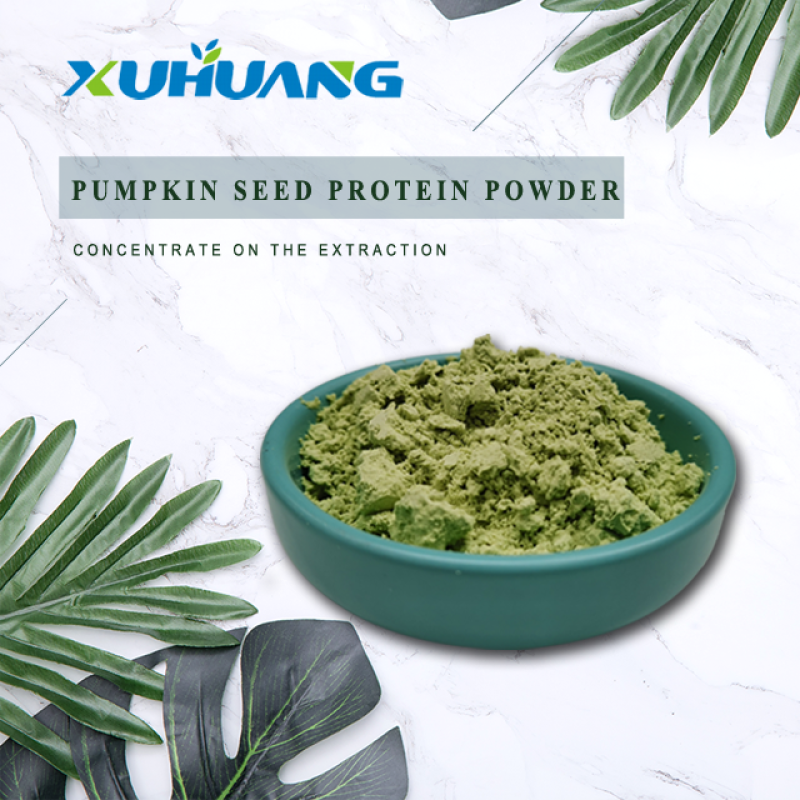 Hot Sale Pumpkin Seed Protein Powder