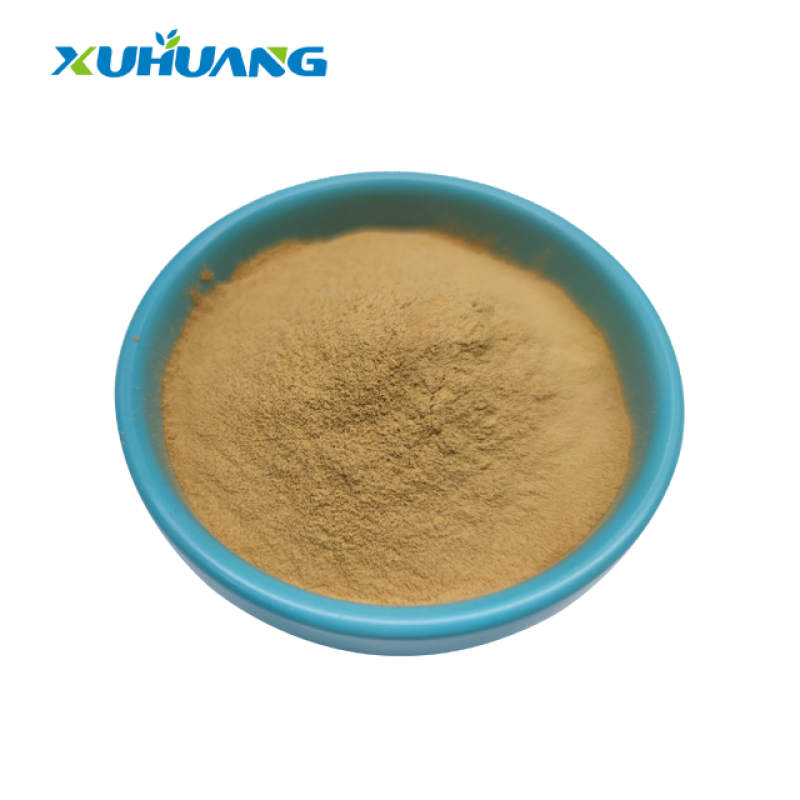 High Quality Spine Date Seed Extract