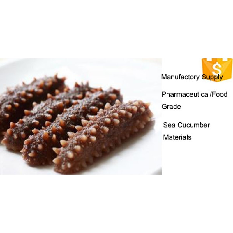 Best Price of Dried Sea Cucumber Protein Powder/ Sea Cucumber Peptide /sea Cucumber Polypeptide