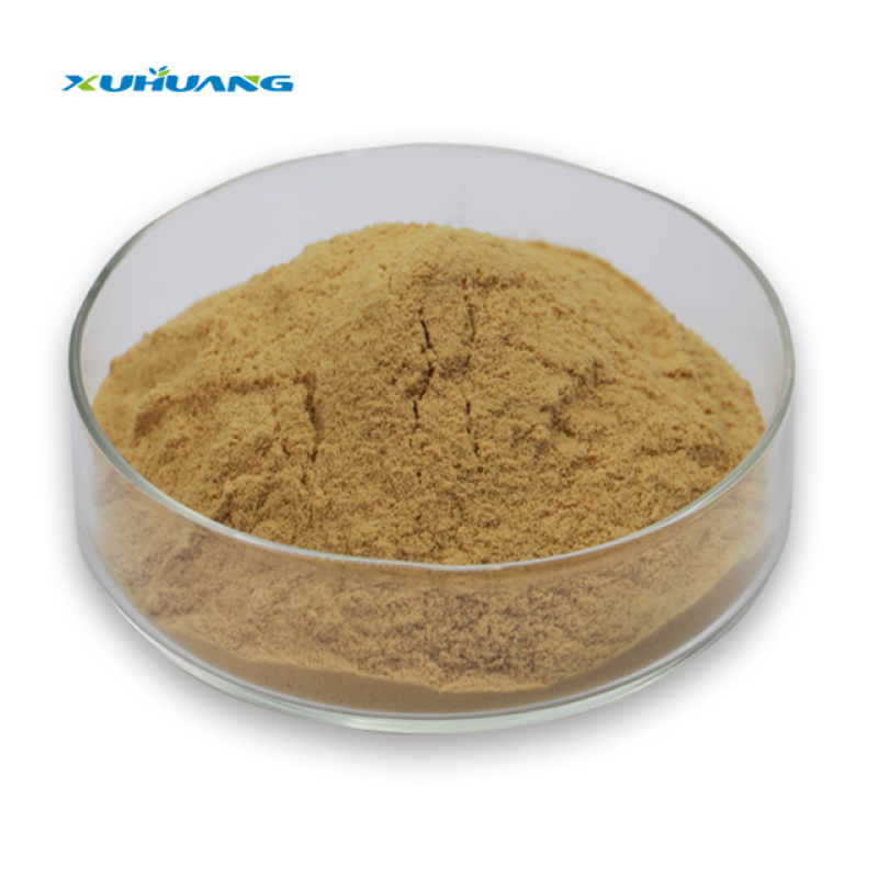 Manufacturer Supply Good Price White Willow Bark Extract Brown Yellow Powder White Willow Bark Extract Powder