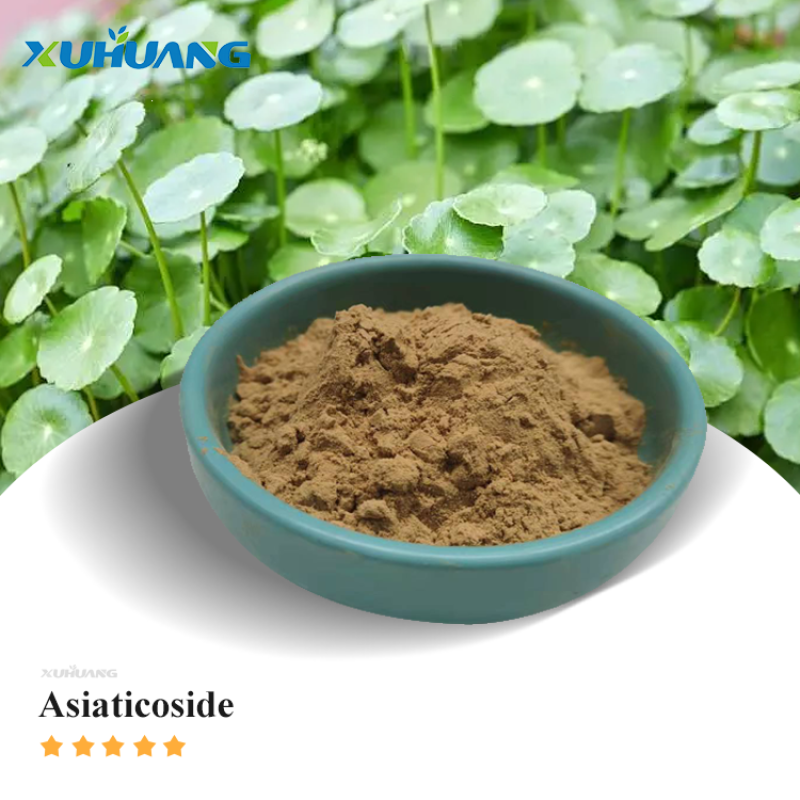 Wholesale Supply Good Quality 10% Asiaticoside Powder Centella Asiatica Extract