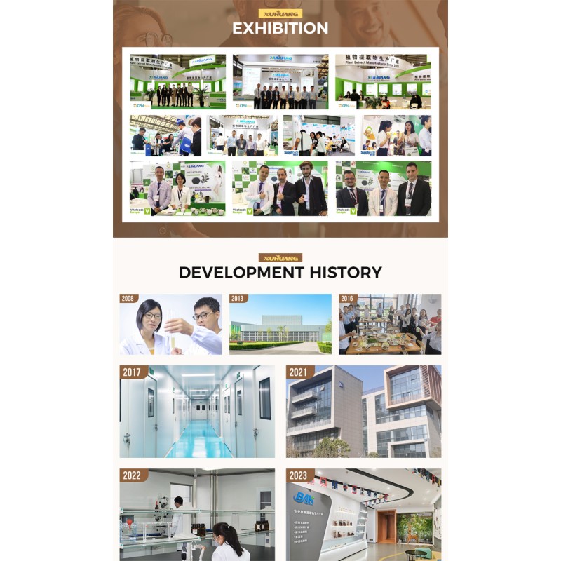 Xuhuang Pistachio Flavor Powder Factory Wholesale Pure Natural Pistachio Powder