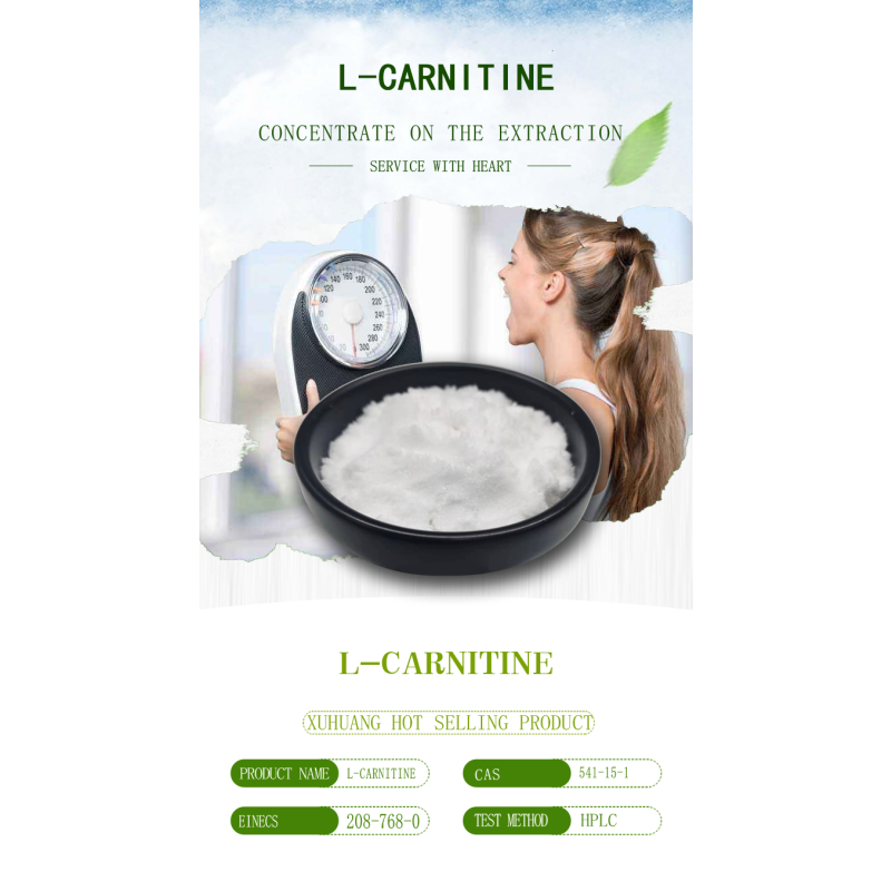 Factory Wholesale Pure L-Carnitine 99% L-Carnitine Powder