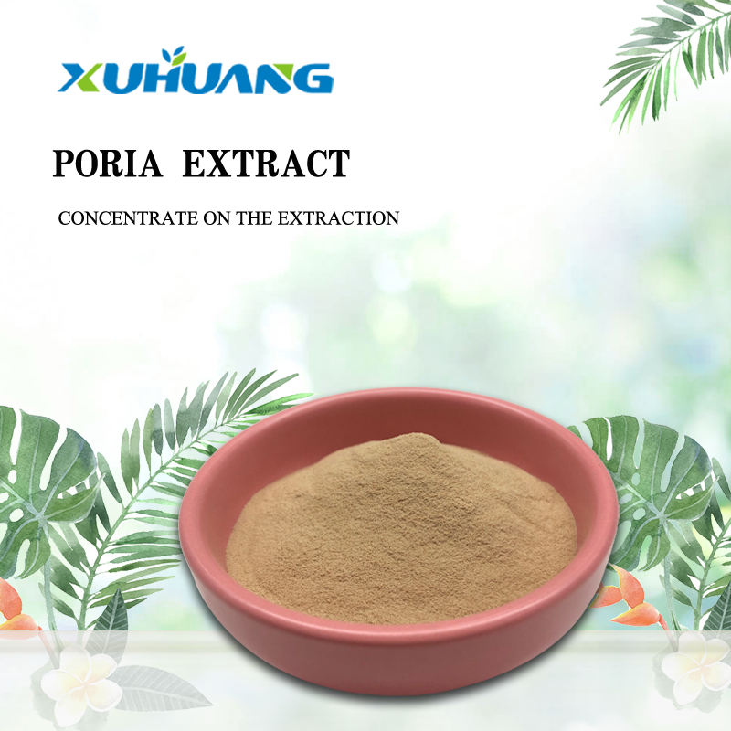 High Quality Poria Extract