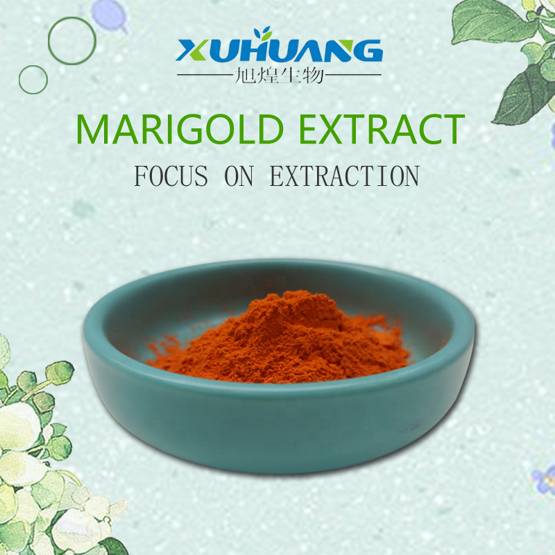Food Supplement Marigold Flower Extract in Stock  Tagetes Erecta Extract  for Sell Lutein Powder with Free Samples