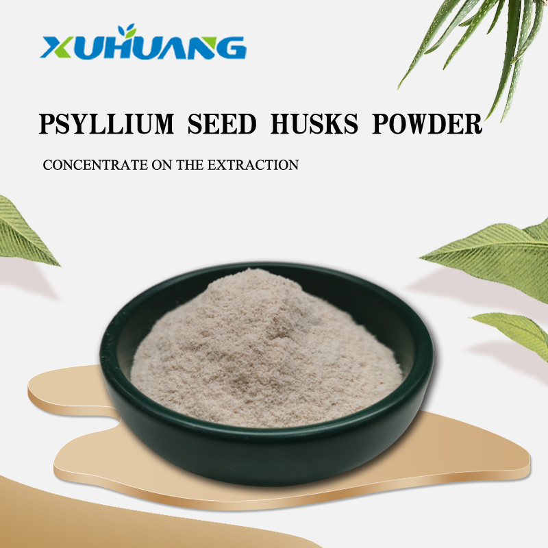 Best Price Hericium Erinaceus Extract