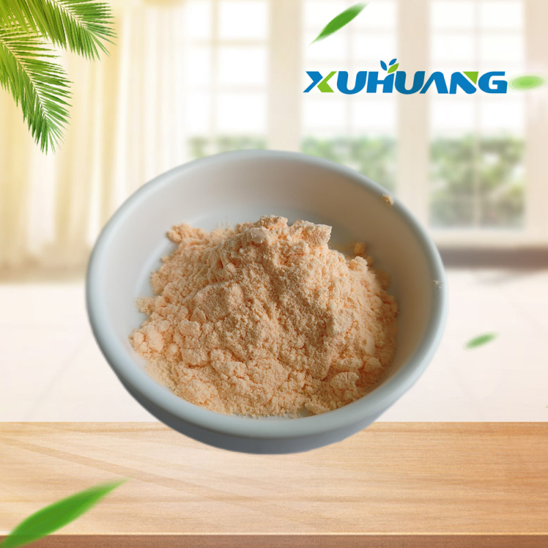 Xuhuang Hot Sale Blood Orange Extract Powder Blood Orange Juice Powder Flavor Instant Blood Orange  Powder