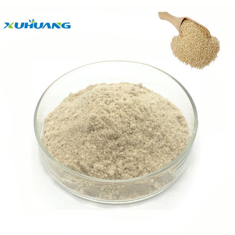 Factory Supply Quinoa Protein Powder  Quinoa Powder