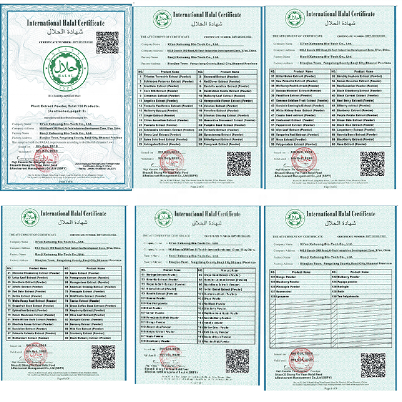 Top Quality Monk Fruit Extract